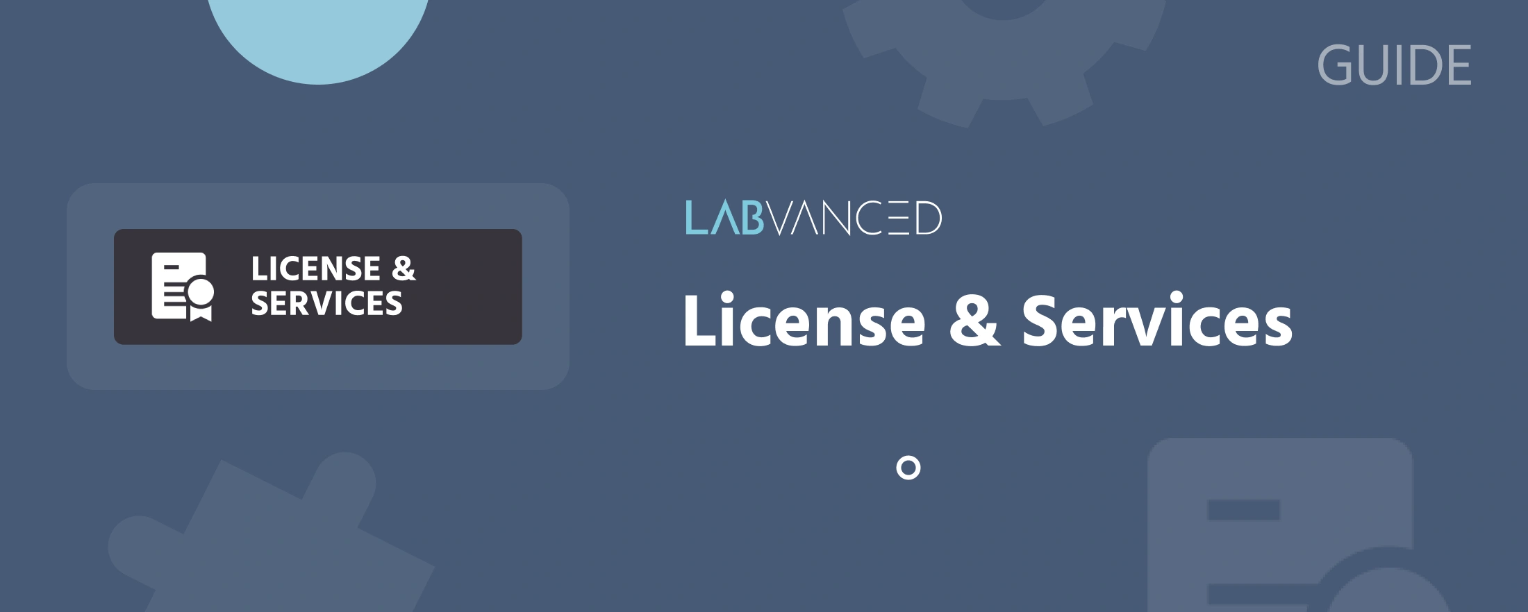 Representation of the License and Services tab in Labvanced.