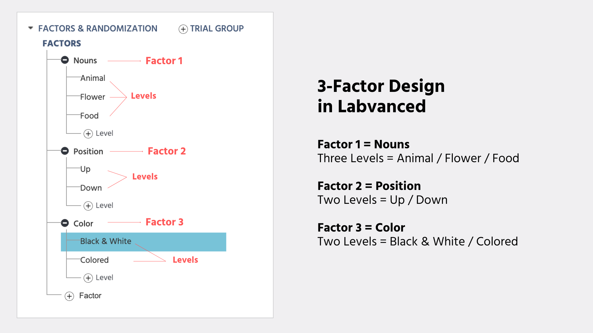 Example of creating a 3-factor design in Labvanced.