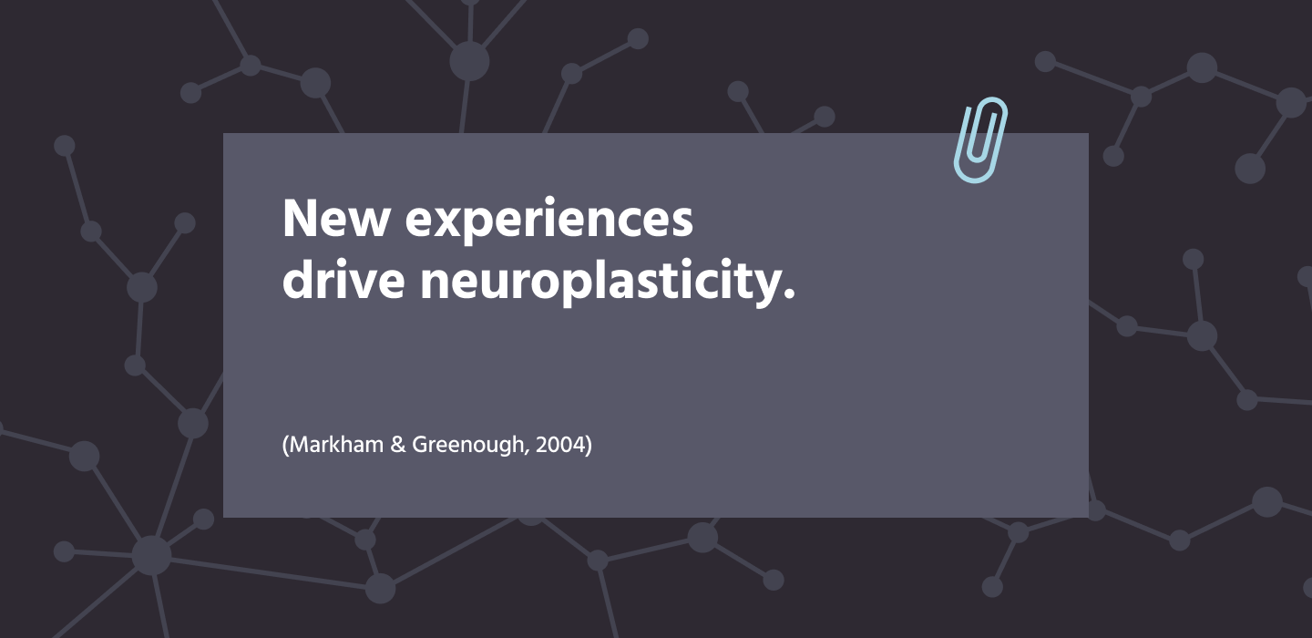 Quote about how new experiences drive neuroplasticity