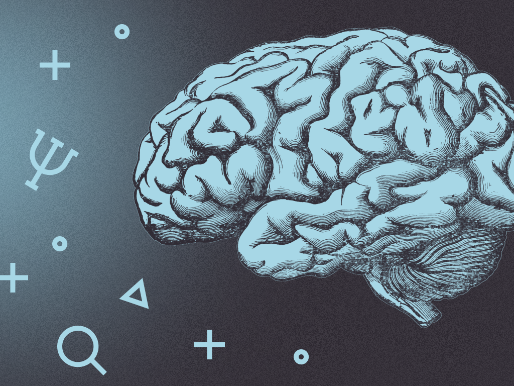 Brain image showing neuroplasticity
