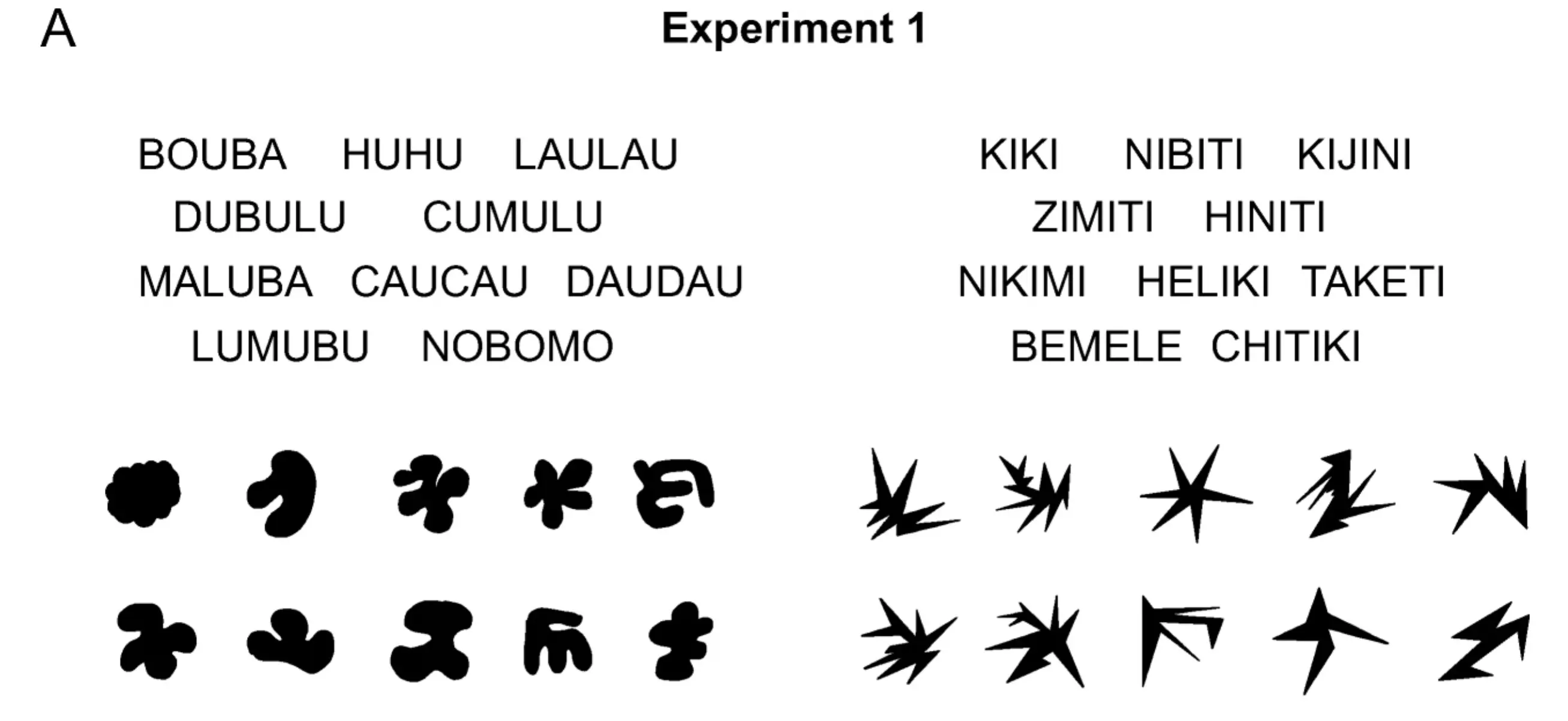 实验中多个 bouba kiki 形状和单词的完整列表和示例。