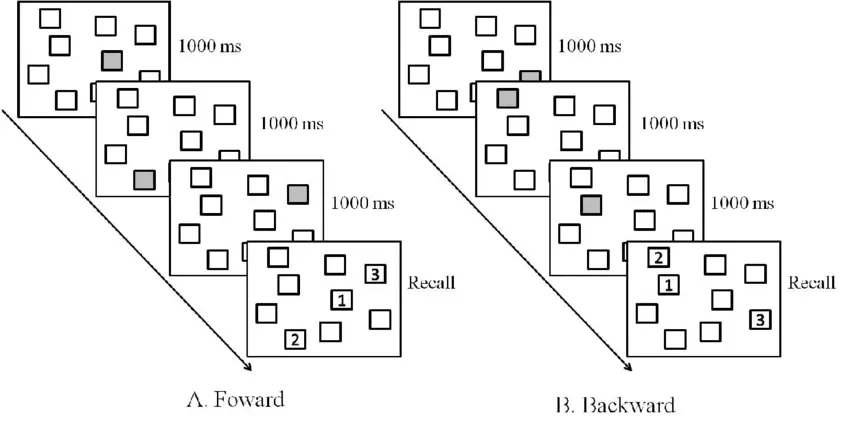 Ejemplo de estímulos, estructura de prueba, temporización y representación de las condiciones hacia adelante (A) y hacia atrás (B) en un test de Corsi Block-Tapping en línea.