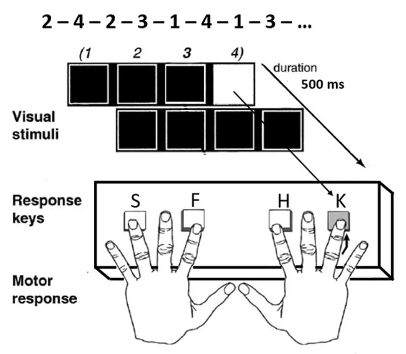 Experiment in Labvanced, das eingerichtet wurde, um prozedurales Gedächtnis mit der SRT-Aufgabe zu studieren.
