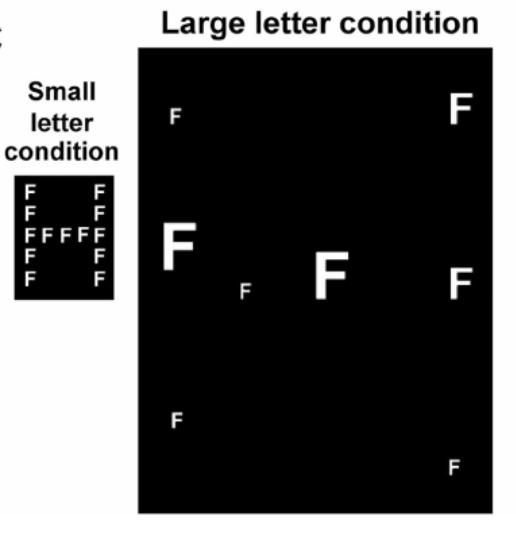 Letras de Navon en condiciones de letra grande.