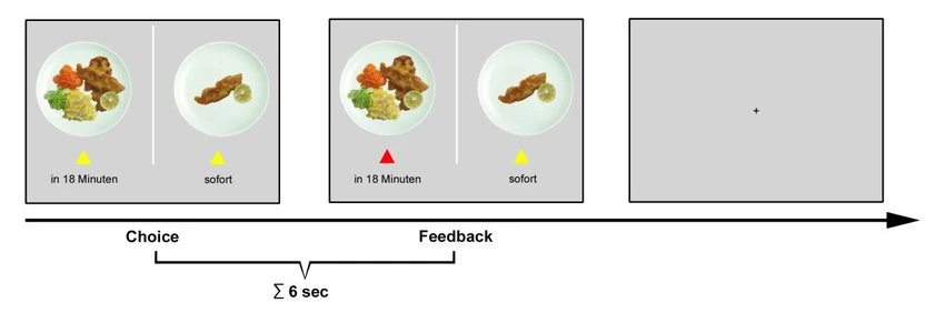 A trial progression of a food-specific delay discounting task (Weygandt, M., et al. 2015).