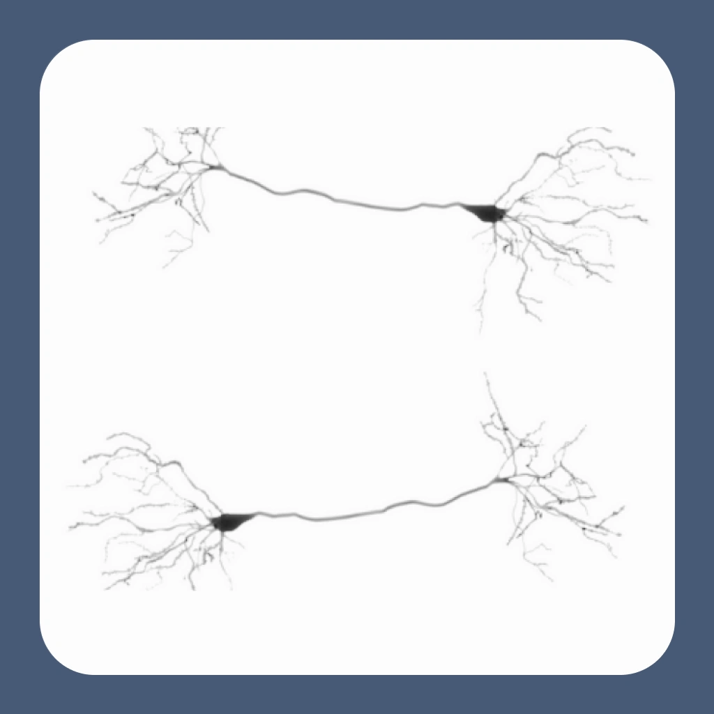 Cognitive and Neuro Psychology research use case