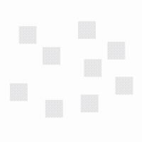 corsi block tapping task gif